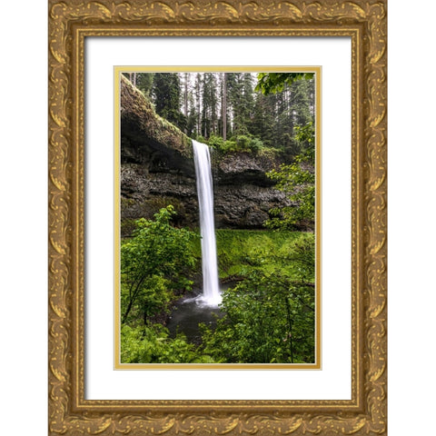 USA-Oregon-Silver Falls State Park-South Falls Gold Ornate Wood Framed Art Print with Double Matting by Restuccia, Joe III