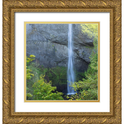 OR-Columbia River Gorge National Scenic Area-Latourell Falls Gold Ornate Wood Framed Art Print with Double Matting by Wild, Jamie and Judy