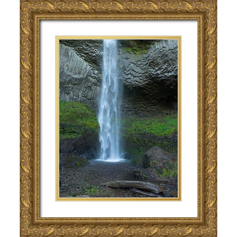 OR-Columbia River Gorge National Scenic Area-Latourell Falls Gold Ornate Wood Framed Art Print with Double Matting by Wild, Jamie and Judy