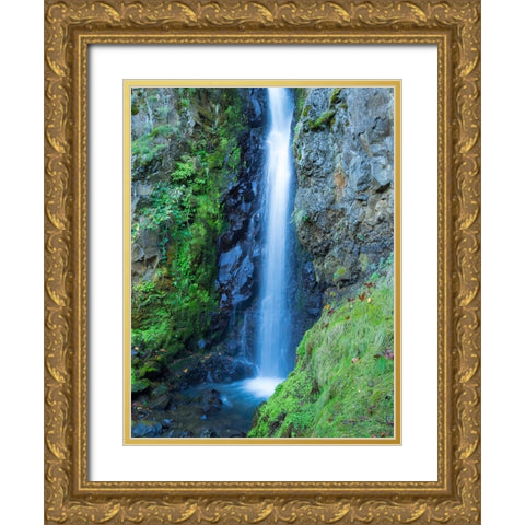 Oregon-Columbia River Gorge National Scenic Area-Warren Creek-at Hole in the Wall Falls Gold Ornate Wood Framed Art Print with Double Matting by Wild, Jamie and Judy