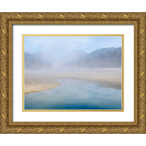 Oregon-Hug Point Foggy beach Gold Ornate Wood Framed Art Print with Double Matting by Wild, Jamie and Judy