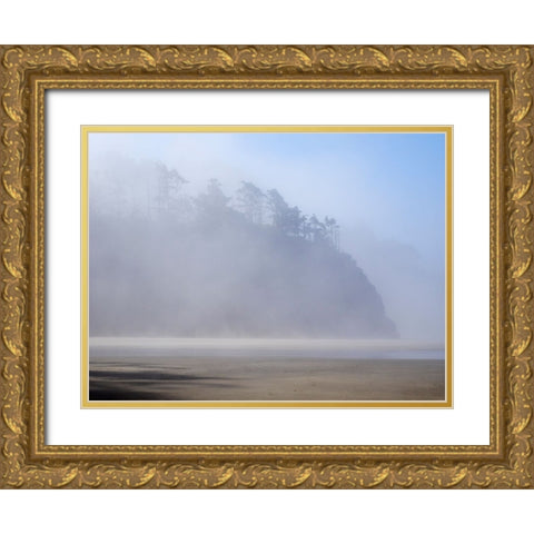 Oregon-Hug Point Morning fog Gold Ornate Wood Framed Art Print with Double Matting by Wild, Jamie and Judy