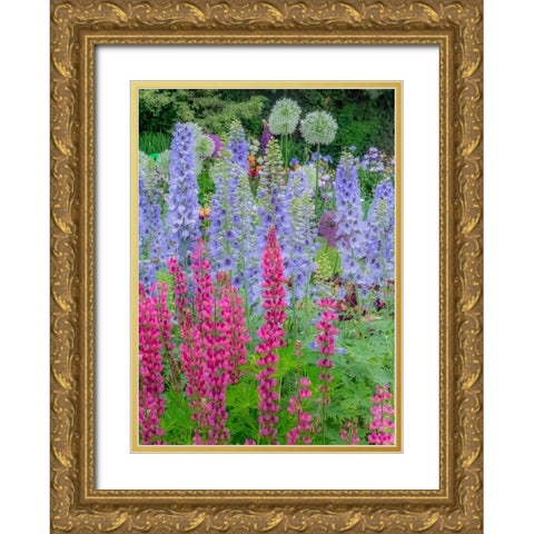 Oregon-Salem springtime garden with Lupine-Allum and Delphinium Gold Ornate Wood Framed Art Print with Double Matting by Gulin, Sylvia