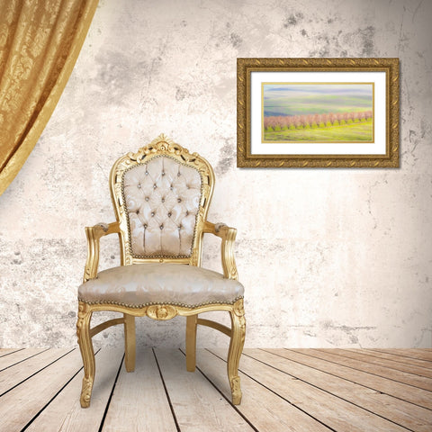 Oregon-The Dalles-Orchard just south of The Dalles cherry trees Gold Ornate Wood Framed Art Print with Double Matting by Gulin, Sylvia