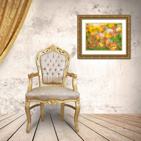 Oregon-Salem-Columbine in display garden Gold Ornate Wood Framed Art Print with Double Matting by Gulin, Sylvia