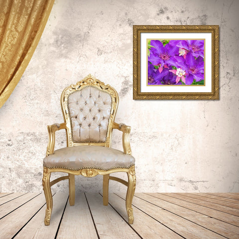 Oregon-Salem close-up of purple blooming Clematis flower Gold Ornate Wood Framed Art Print with Double Matting by Gulin, Sylvia