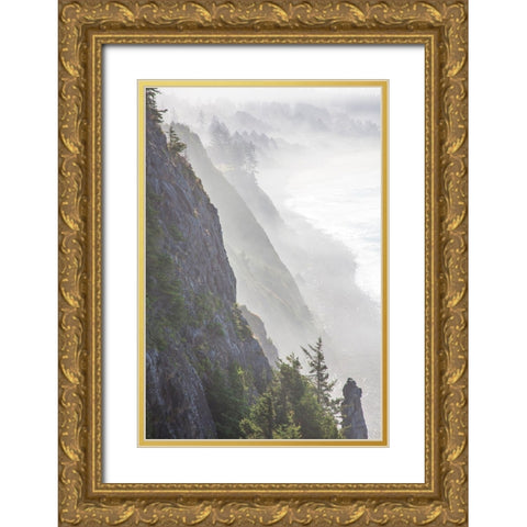 Oregon-Oswald West State Park and cliff bluffs looking towards Manzanita with lifting fog Gold Ornate Wood Framed Art Print with Double Matting by Gulin, Sylvia