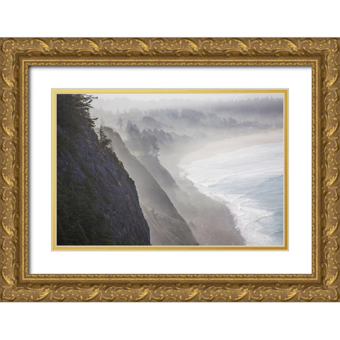 Oregon-Oswald West State Park and cliff bluffs looking towards Manzanita with lifting fog Gold Ornate Wood Framed Art Print with Double Matting by Gulin, Sylvia