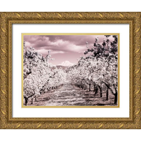 USA-Oregon-Columbia Gorge Infrared of Spring orchards and Mount Rainier Gold Ornate Wood Framed Art Print with Double Matting by Eggers, Terry