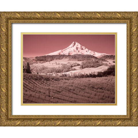 USA-Oregon-Columbia Gorge Infrared of spring orchards in bloom and Mount Hood Gold Ornate Wood Framed Art Print with Double Matting by Eggers, Terry