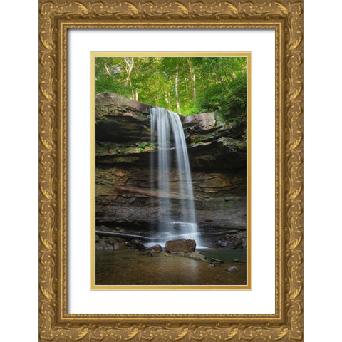 Cucumber Falls-Ohiopyle State Park-Pennsylvania Gold Ornate Wood Framed Art Print with Double Matting by Majchrowicz, Alan