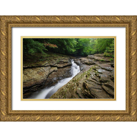 Natural Waterslides on Meadow Run Ohiopyle State Park-Pennsylvania Gold Ornate Wood Framed Art Print with Double Matting by Majchrowicz, Alan