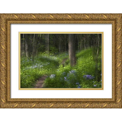 PA, Cedar Creek Trail through flowers and trees Gold Ornate Wood Framed Art Print with Double Matting by Rotenberg, Nancy