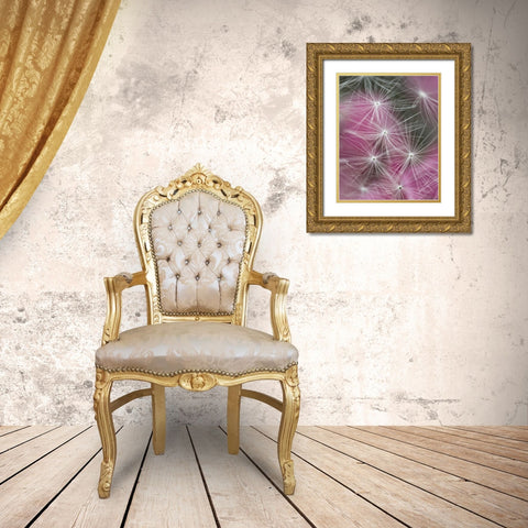 Dandelion seeds with feathery tentacles Gold Ornate Wood Framed Art Print with Double Matting by Rotenberg, Nancy