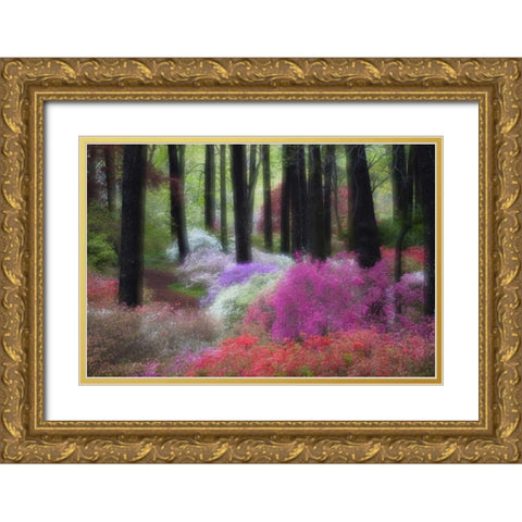 GA, Impressionistic trees and flowering bushes Gold Ornate Wood Framed Art Print with Double Matting by Rotenberg, Nancy