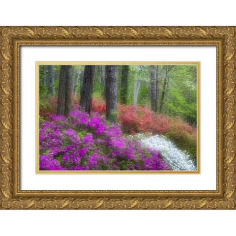 GA, Impressionistic trees and flowering bushes Gold Ornate Wood Framed Art Print with Double Matting by Rotenberg, Nancy