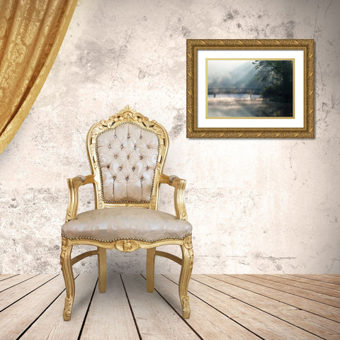 Georgia Sunlit mist on bridge over lake Gold Ornate Wood Framed Art Print with Double Matting by Rotenberg, Nancy