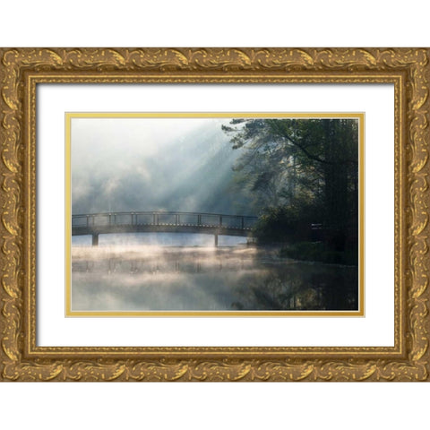Georgia Sunlit mist on bridge over lake Gold Ornate Wood Framed Art Print with Double Matting by Rotenberg, Nancy