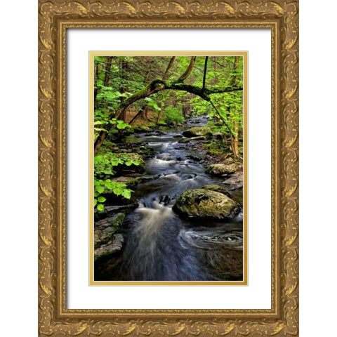 PA, Dingmans Ferry, Childs Park Dingmans Creek Gold Ornate Wood Framed Art Print with Double Matting by OBrien, Jay