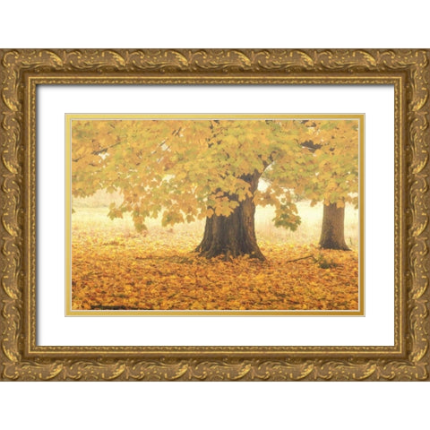 PA, Valley Forge NP Sunrise on trees in Autumn Gold Ornate Wood Framed Art Print with Double Matting by OBrien, Jay