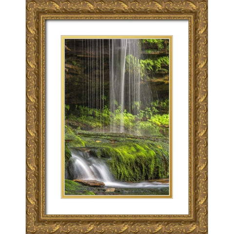 Pennsylvania Waterfall in Ricketts Glen SP Gold Ornate Wood Framed Art Print with Double Matting by OBrien, Jay