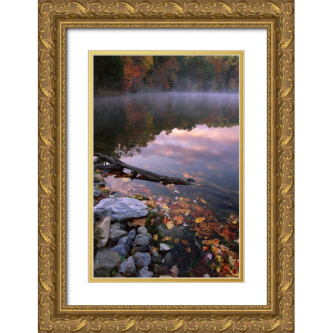 PA, Pocono Mountains Autumn sunrise on lake Gold Ornate Wood Framed Art Print with Double Matting by Bush, Marie