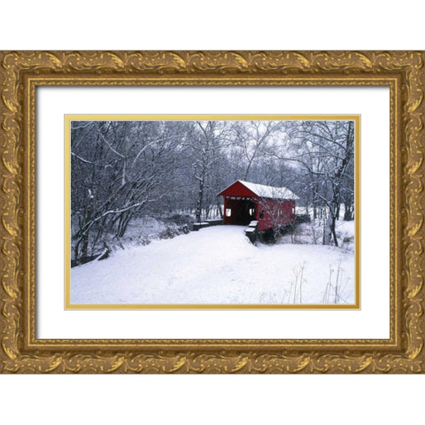 PA, Mariana Co, Hughes Covered Bridge in winter Gold Ornate Wood Framed Art Print with Double Matting by Rotenberg, Nancy