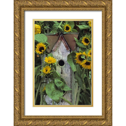 Pennsylvania Birdhouse and garden sunflowers Gold Ornate Wood Framed Art Print with Double Matting by Rotenberg, Nancy