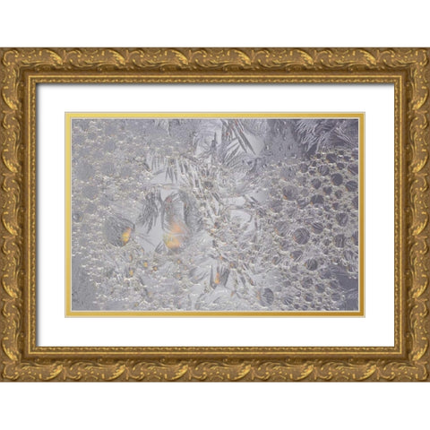 Pennsylvania Frosty window pane and soap bubbles Gold Ornate Wood Framed Art Print with Double Matting by Anon, Ellen