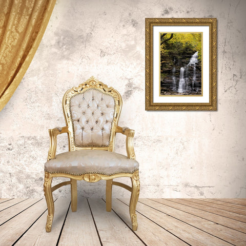 Pennsylvania Waterfall in Ricketts Glen SP Gold Ornate Wood Framed Art Print with Double Matting by OBrien, Jay
