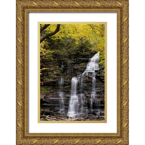 Pennsylvania Waterfall in Ricketts Glen SP Gold Ornate Wood Framed Art Print with Double Matting by OBrien, Jay