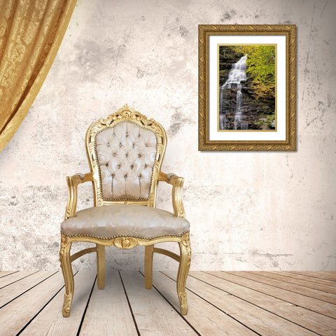 Pennsylvania Waterfall in Ricketts Glen SP Gold Ornate Wood Framed Art Print with Double Matting by OBrien, Jay
