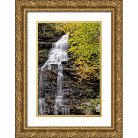 Pennsylvania Waterfall in Ricketts Glen SP Gold Ornate Wood Framed Art Print with Double Matting by OBrien, Jay
