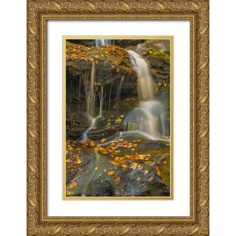 PA, Delaware Water gap NRA Waterfall over rocks Gold Ornate Wood Framed Art Print with Double Matting by OBrien, Jay
