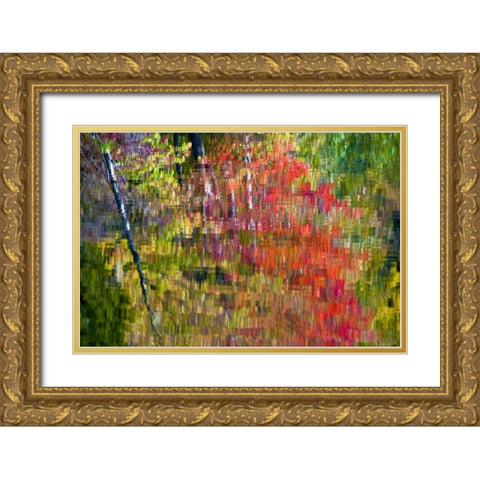 PA, Delaware, Water gap NRA Autumn reflection Gold Ornate Wood Framed Art Print with Double Matting by OBrien, Jay
