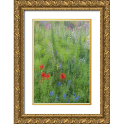 USA, Pennsylvania Summer flowers abstract Gold Ornate Wood Framed Art Print with Double Matting by OBrien, Jay