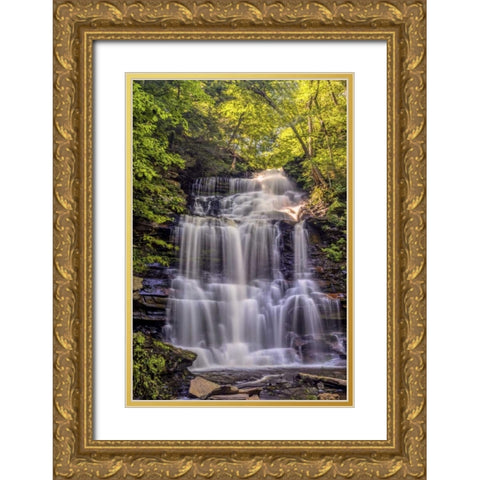 PA, Benton, Ricketts Glen SP Ganoga Falls Gold Ornate Wood Framed Art Print with Double Matting by OBrien, Jay