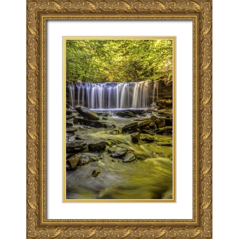 PA, Benton, Ricketts Glen SP Oneida Falls Gold Ornate Wood Framed Art Print with Double Matting by OBrien, Jay