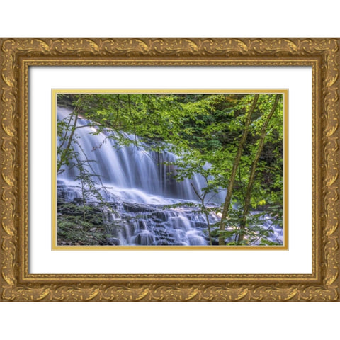 PA, Benton, Ricketts Glen SP Mohawk Falls Gold Ornate Wood Framed Art Print with Double Matting by OBrien, Jay