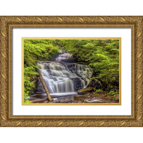 Pennsylvania, Ricketts Glen SP Mohican Falls Gold Ornate Wood Framed Art Print with Double Matting by OBrien, Jay