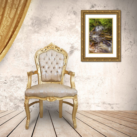 Pennsylvania, Ricketts Glen SP Mohican Falls Gold Ornate Wood Framed Art Print with Double Matting by OBrien, Jay