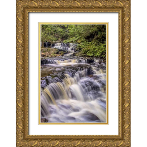 Pennsylvania, Ricketts Glen SP Delaware Falls Gold Ornate Wood Framed Art Print with Double Matting by OBrien, Jay