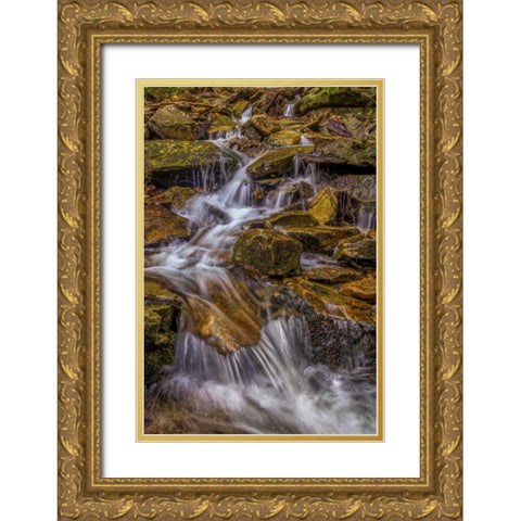 Pennsylvania, Ricketts Glen SP Kitchen Creek Gold Ornate Wood Framed Art Print with Double Matting by OBrien, Jay
