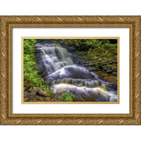 Pennsylvania, Ricketts Glen SP Delaware Falls Gold Ornate Wood Framed Art Print with Double Matting by OBrien, Jay