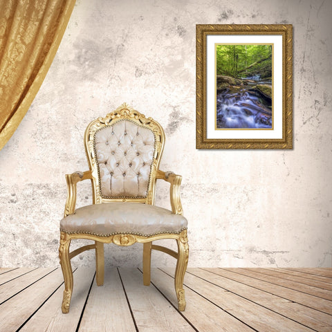 Pennsylvania, Ricketts Glen SP Kitchen Creek Gold Ornate Wood Framed Art Print with Double Matting by OBrien, Jay