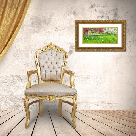 Pennsylvania-Wayne and Chanticleer Gardens springtime blooming crabapple and narcissus Gold Ornate Wood Framed Art Print with Double Matting by Gulin, Sylvia