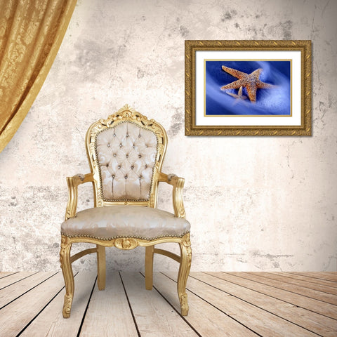 SC, Hilton Head Island Two starfish on beach Gold Ornate Wood Framed Art Print with Double Matting by Needle, Charles
