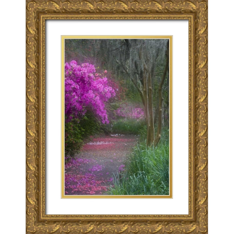 South Carolina Blooming azaleas Gold Ornate Wood Framed Art Print with Double Matting by Rotenberg, Nancy