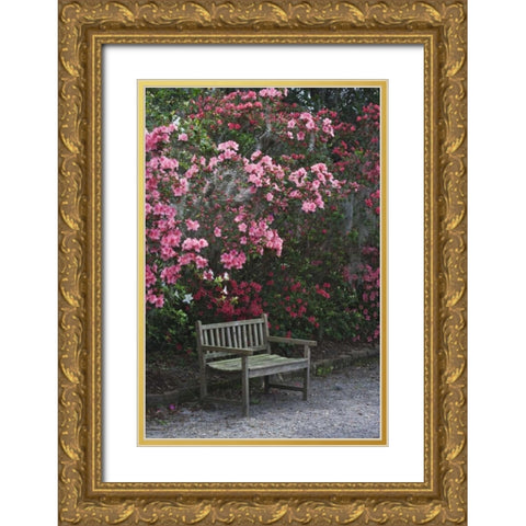SC, Charleston A weathered bench under azaleas Gold Ornate Wood Framed Art Print with Double Matting by Flaherty, Dennis