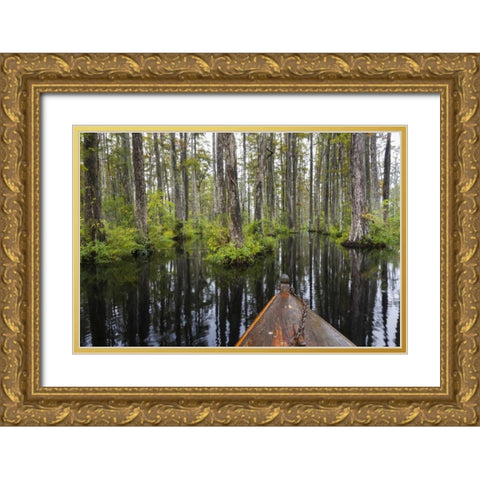 South Carolina Boat bow in cypress swamp Gold Ornate Wood Framed Art Print with Double Matting by Paulson, Don